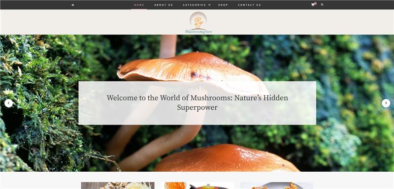 Portfolio Image for Mushroom Groov